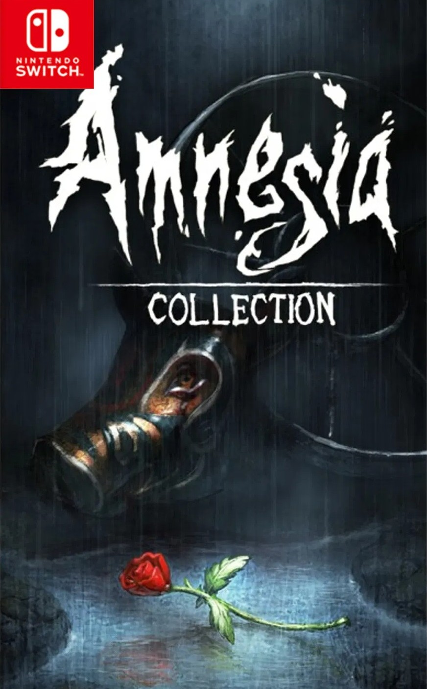 Amnesia: Collection Nintendo Switch Game