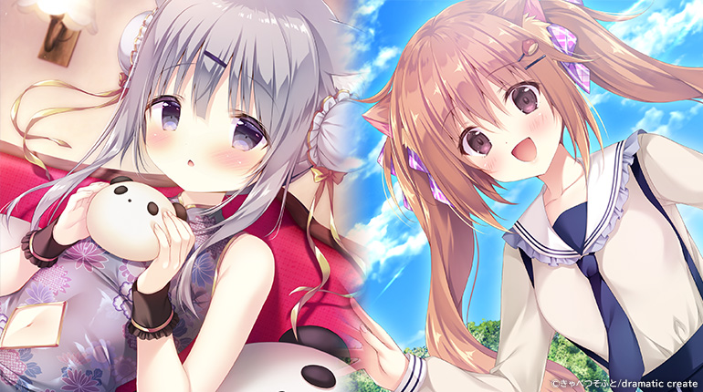 Amairo Chocolate