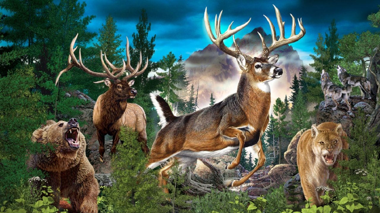The Hunt - Championship Edition