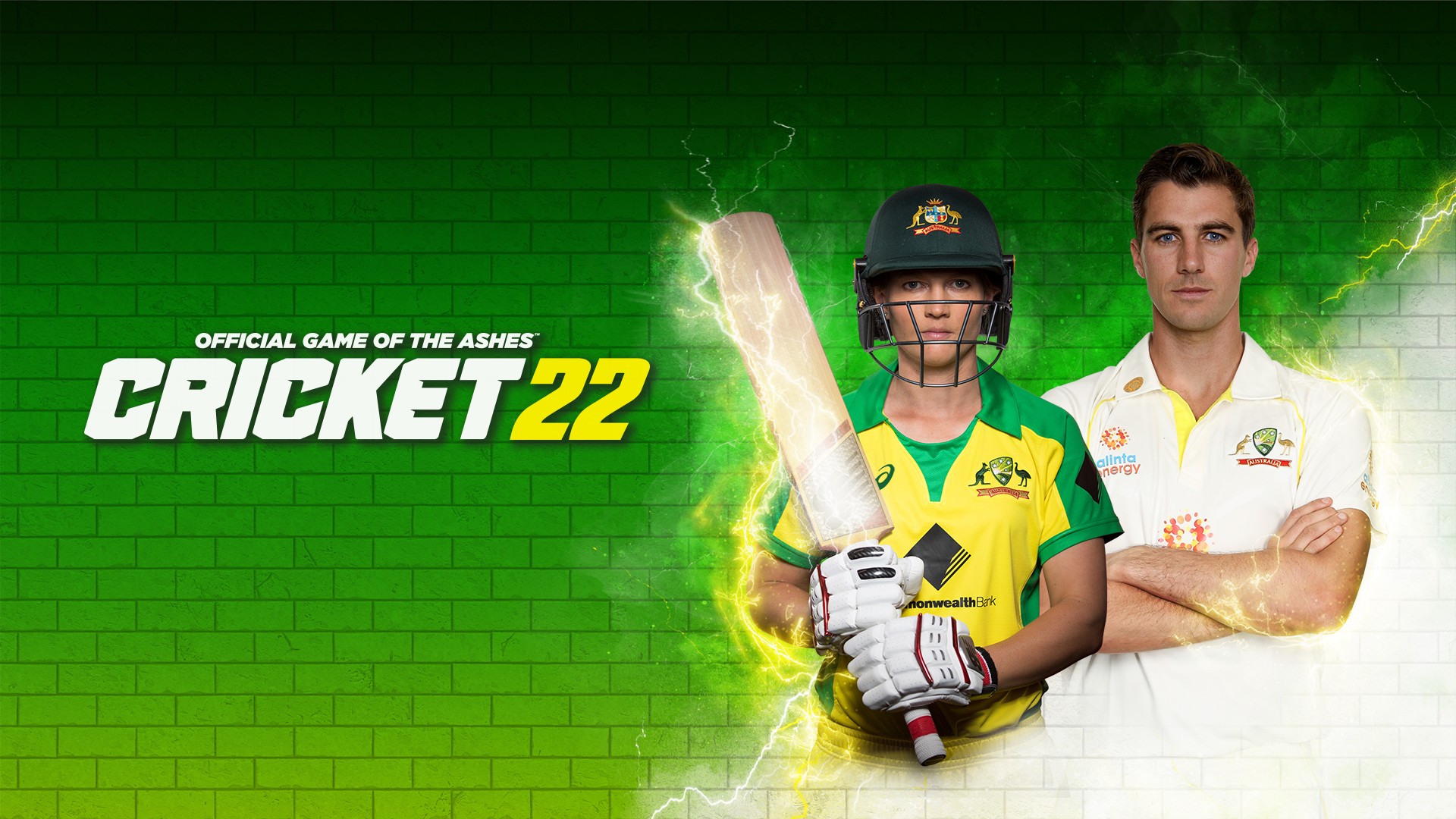 Cricket 22